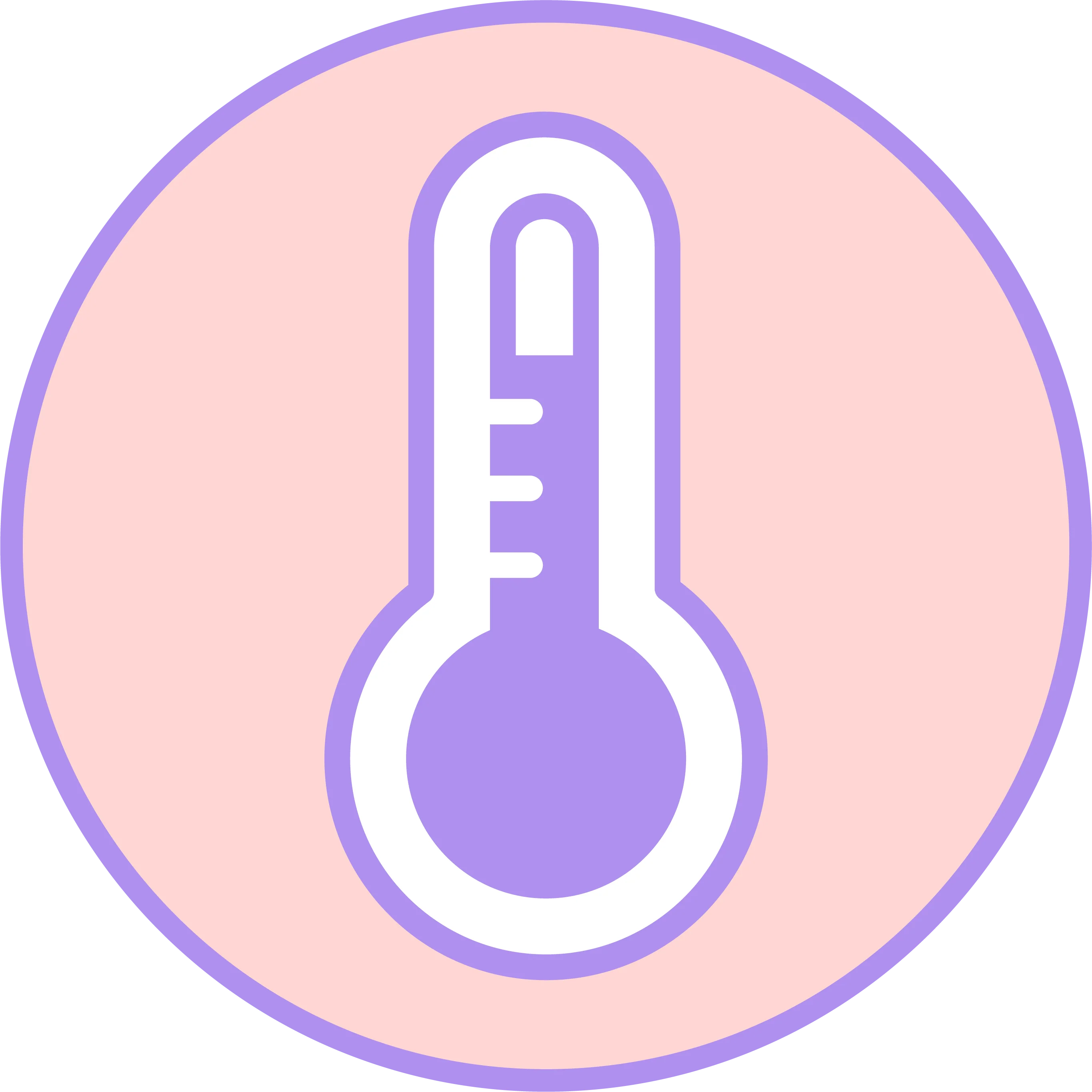 Recgargeable Battery with 5 hours of autonomy